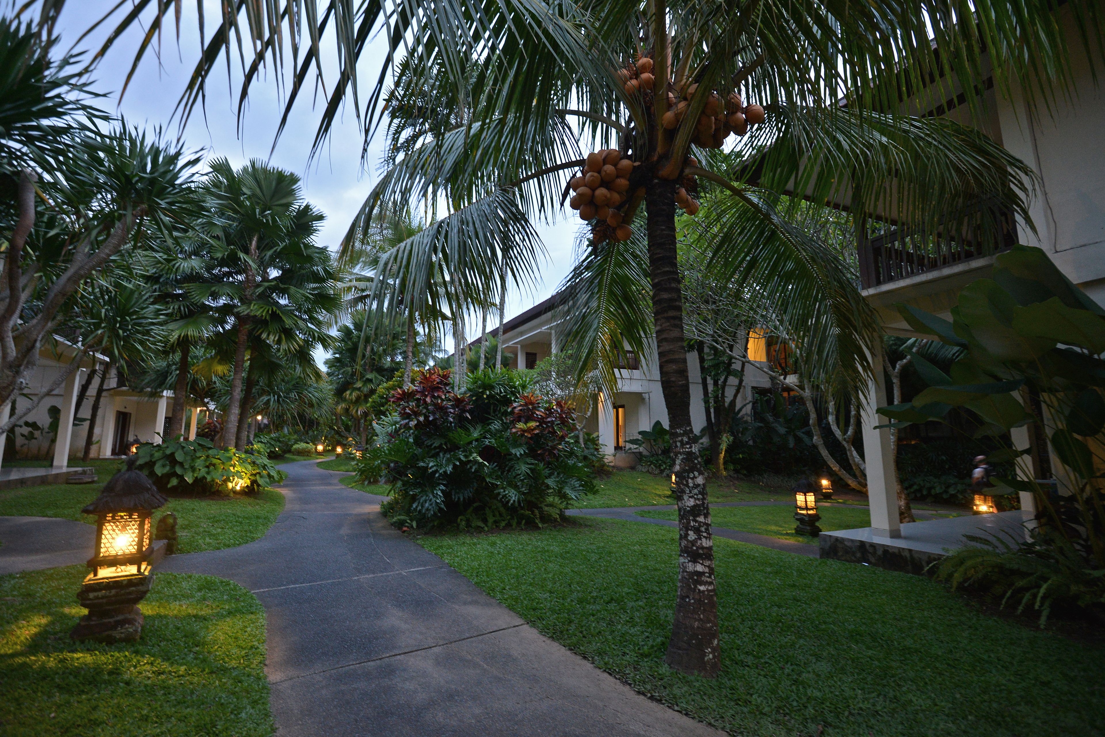 Un camino bordeado de palmeras y un edificio con balcones, evocando un ambiente de resort.