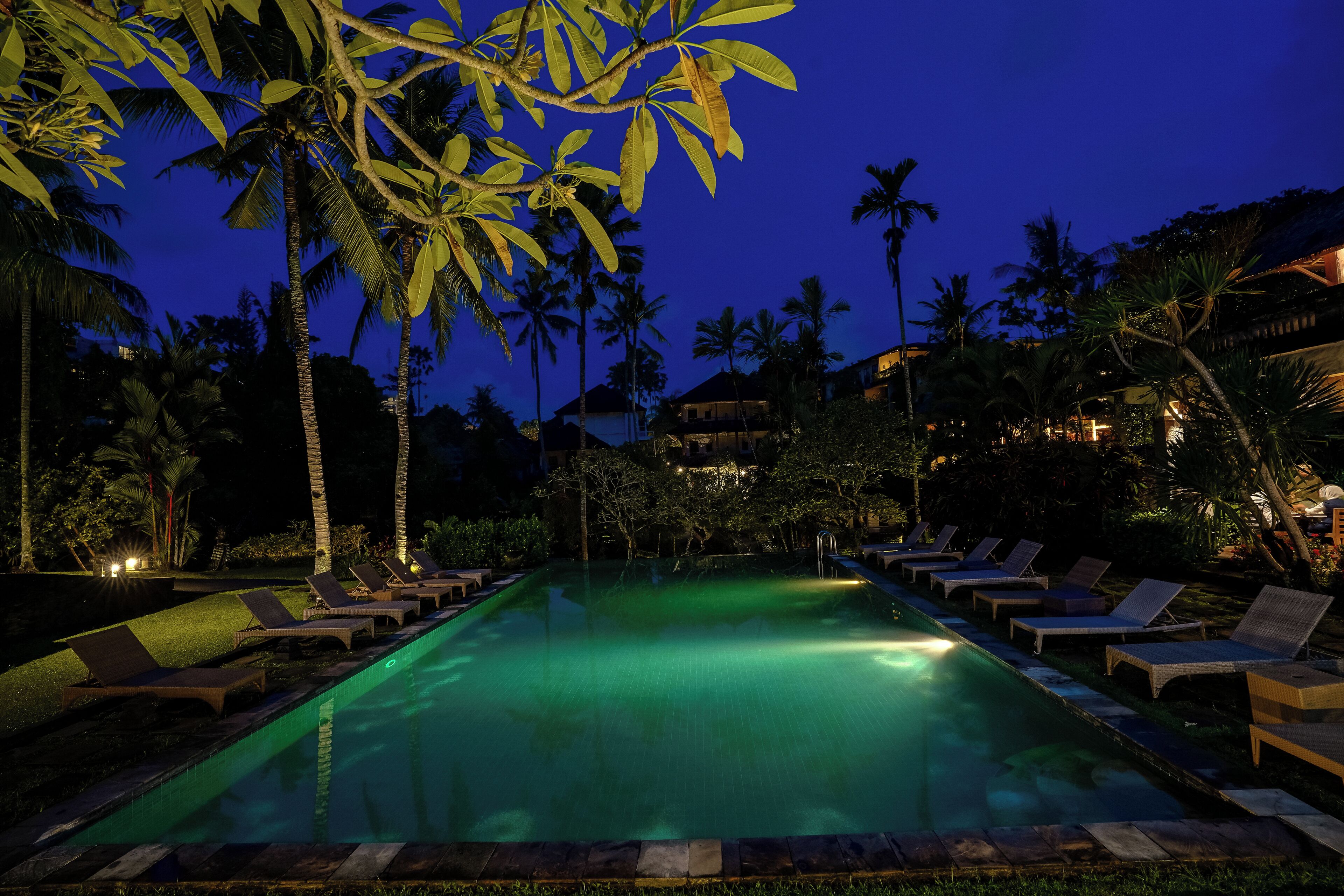 Vista nocturna de una piscina con sillas de descanso y palmeras.