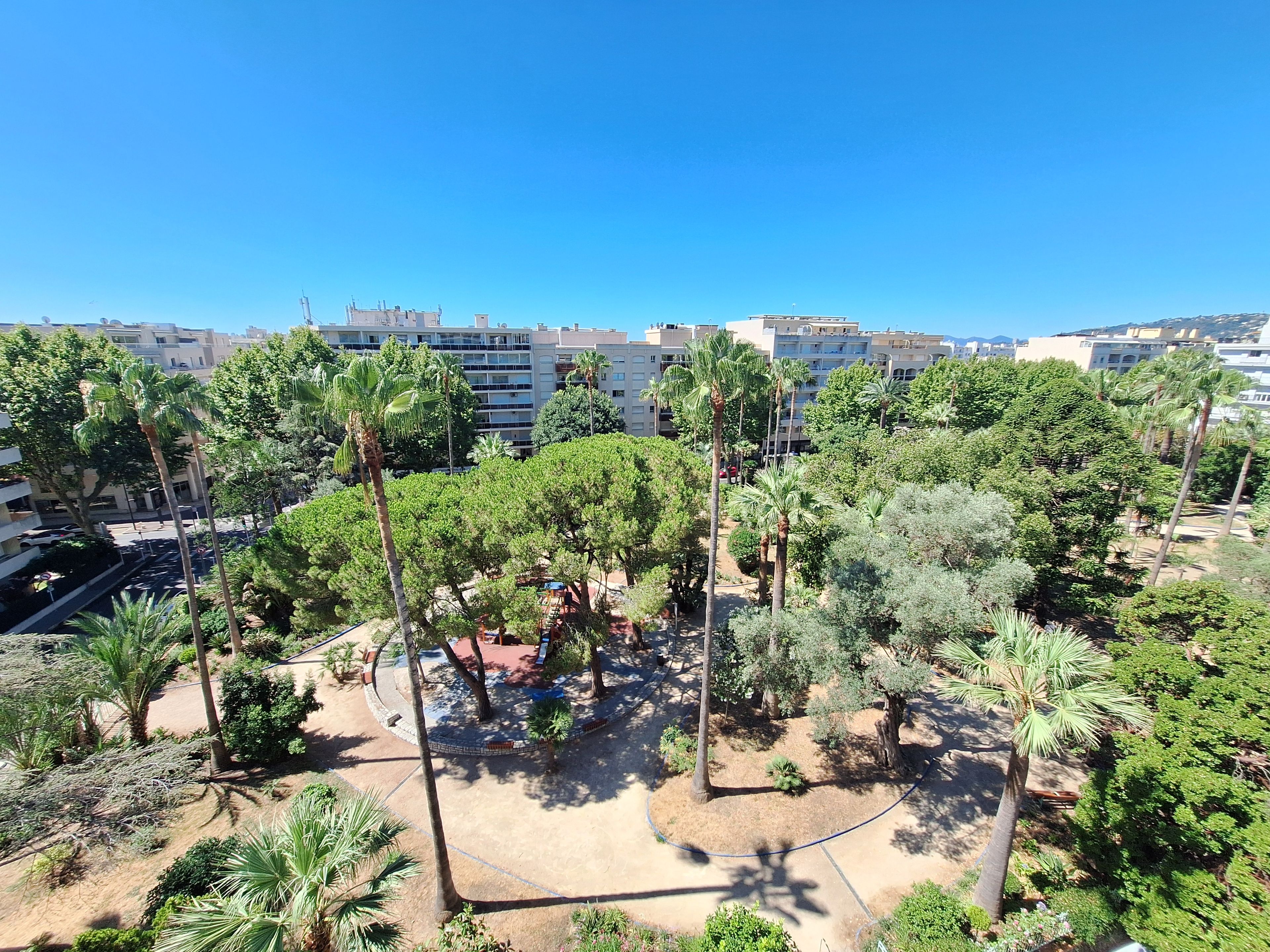 A landscaped area with palm trees and shrubs, surrounded by buildings.