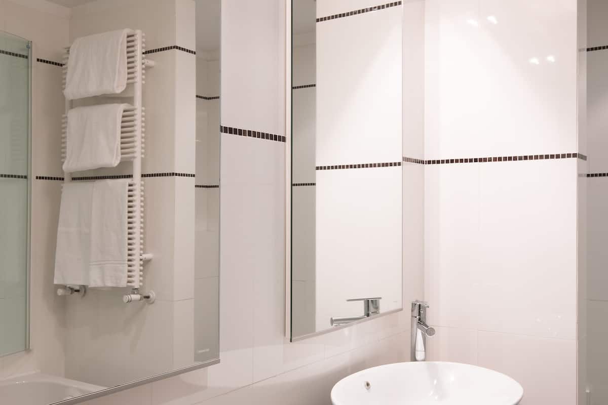 shower, free toiletries, hair dryer, bidet