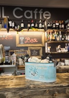 酒吧（店内）