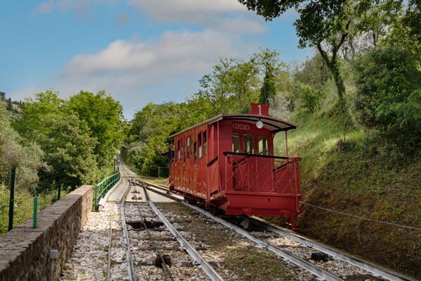 Un vagón de tren rojo sobre una vía férrea rodeado de vegetación.
