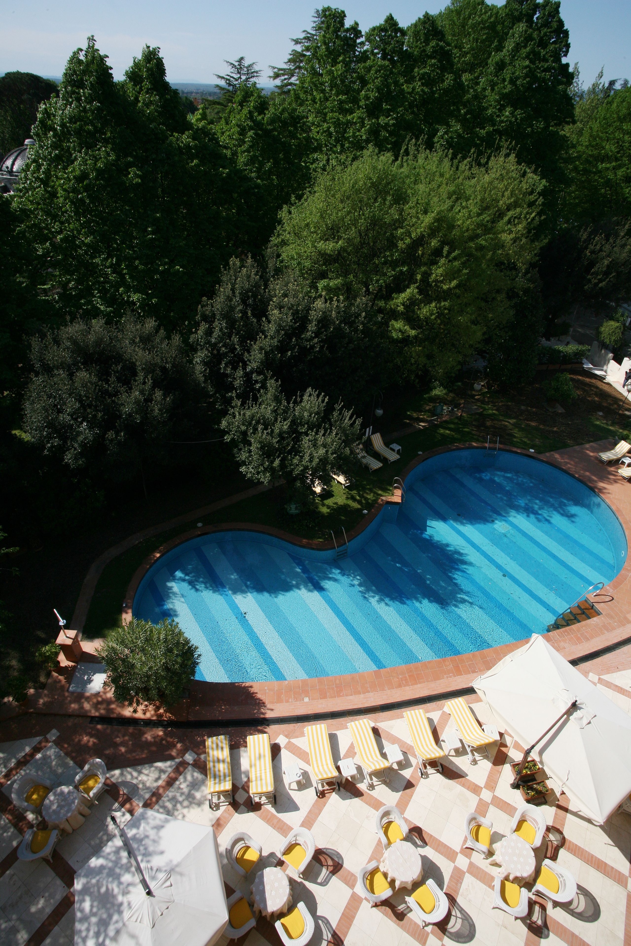 Una piscina de forma singular rodeada de árboles y tumbonas.