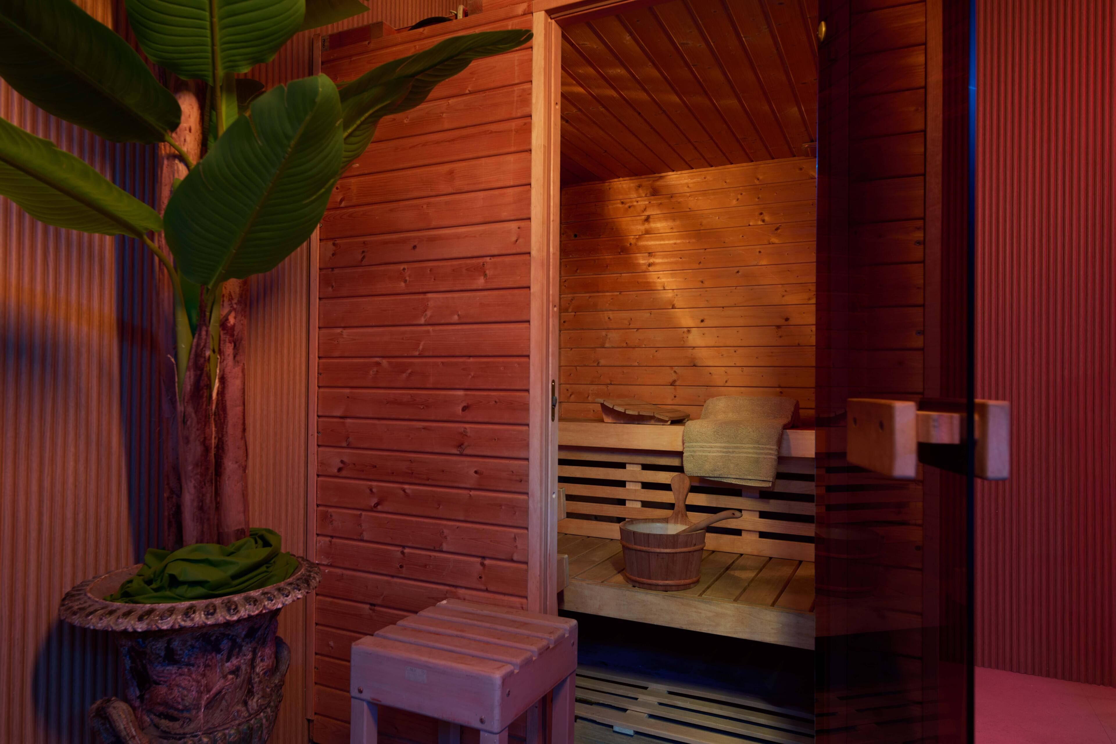 A wooden sauna with a bench, a small table, and a decorative plant.