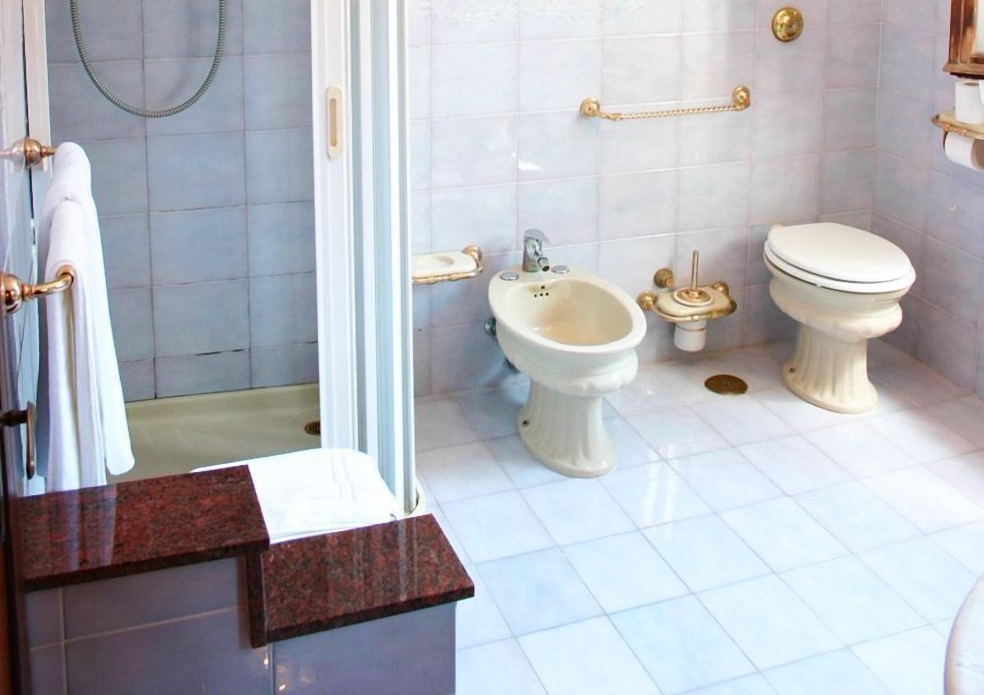 shower, free toiletries, hair dryer, bidet