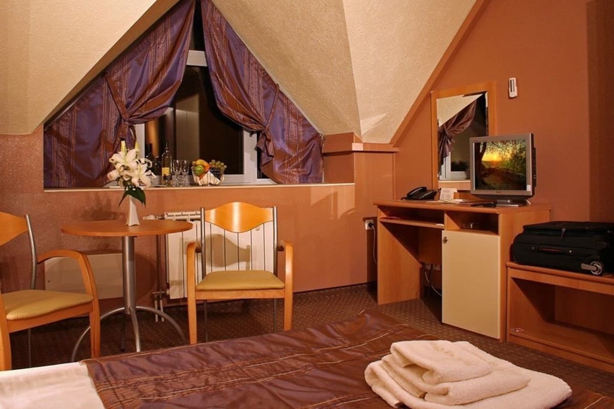 Single Room | Minibar, in-room safe, desk, blackout curtains