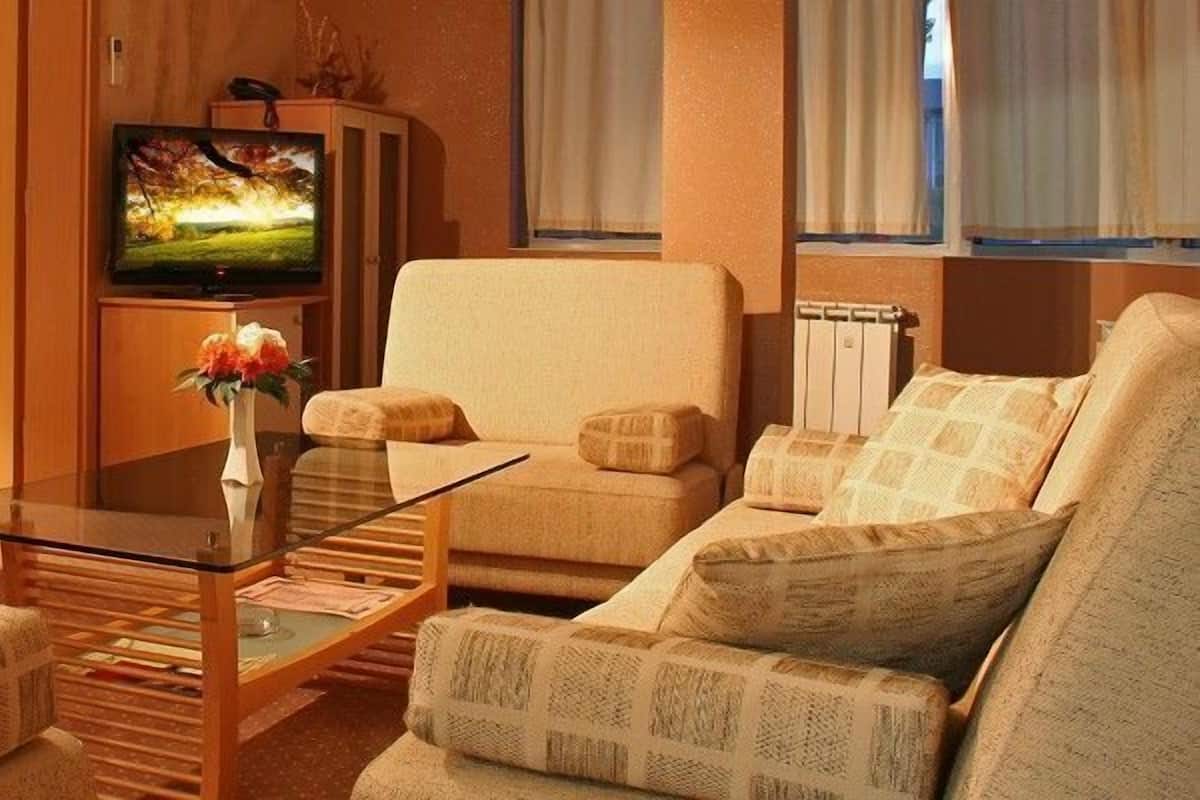 Standard Apartment | Living room | TV