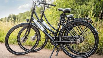 A black bicycle with a front basket and a rear rack, parked on a paved path with greenery in the background.