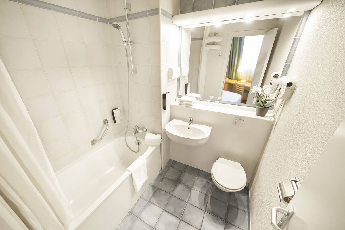 combined shower/bathtub, free toiletries, hair dryer, towels