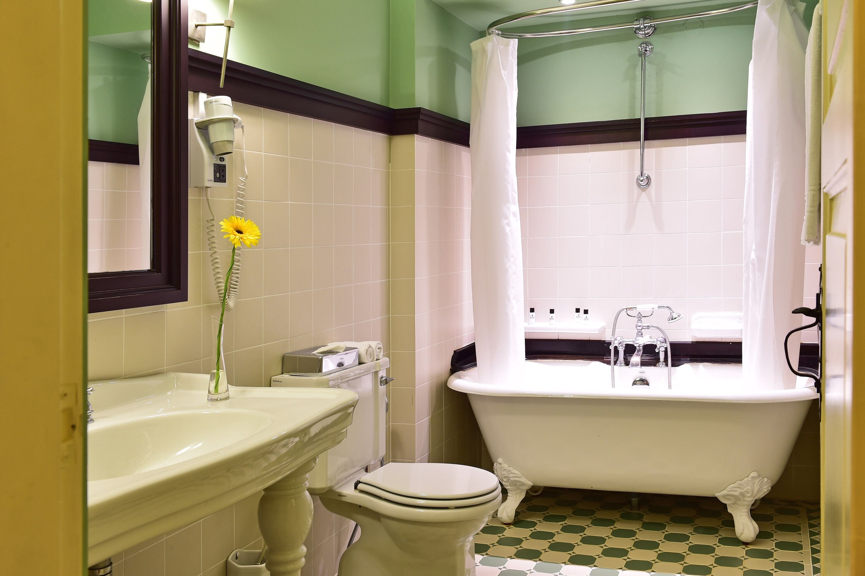 bathtub, eco-friendly toiletries, hair dryer, bidet