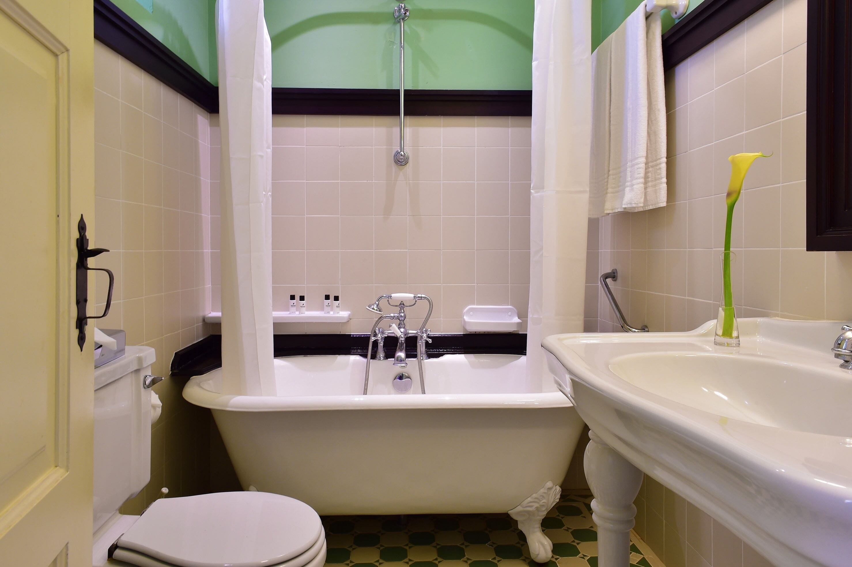 bathtub, eco-friendly toiletries, hair dryer, bidet