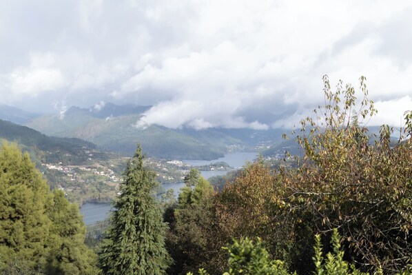 Un paisaje montañoso con un lago, un bosque denso y un pequeño asentamiento.