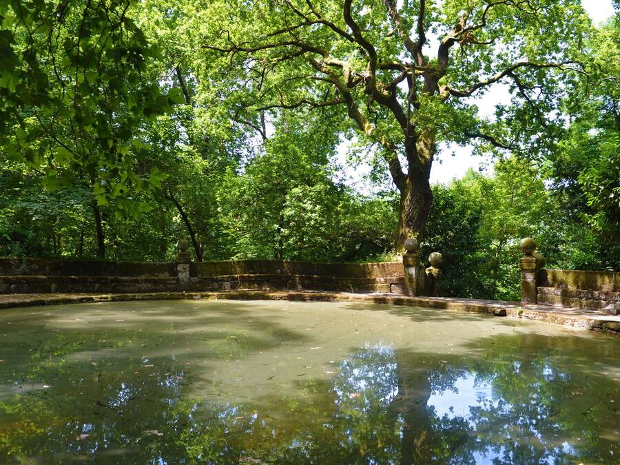 Taman