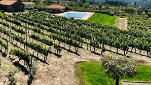 A vineyard with rows of grapevines, a swimming pool, and a mountain range in the background. - Lam Hotel Convento do Desagravo (Oliveira do Hospital)