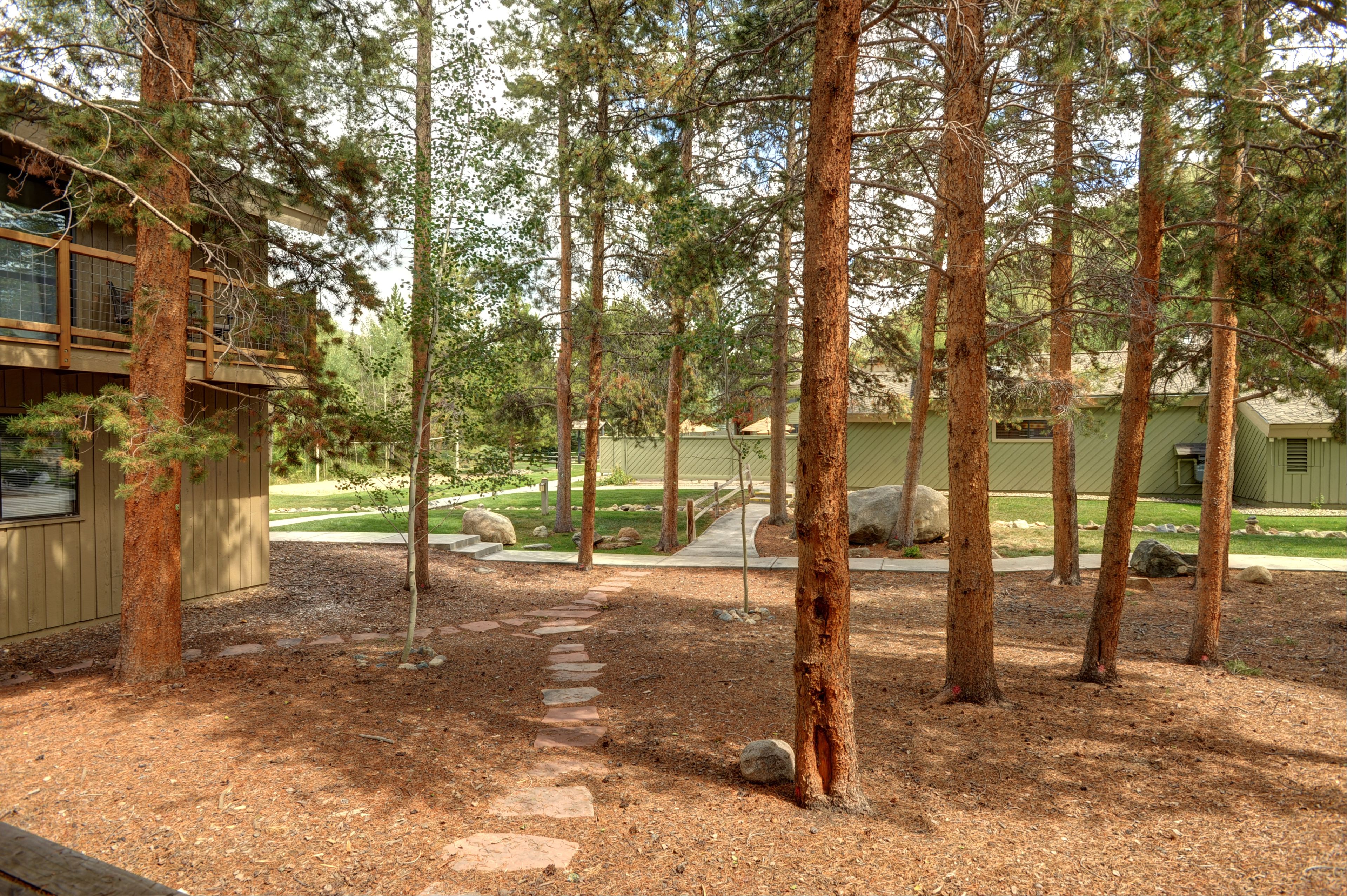 A forested area with a stone pathway leading to a building with large windows.
