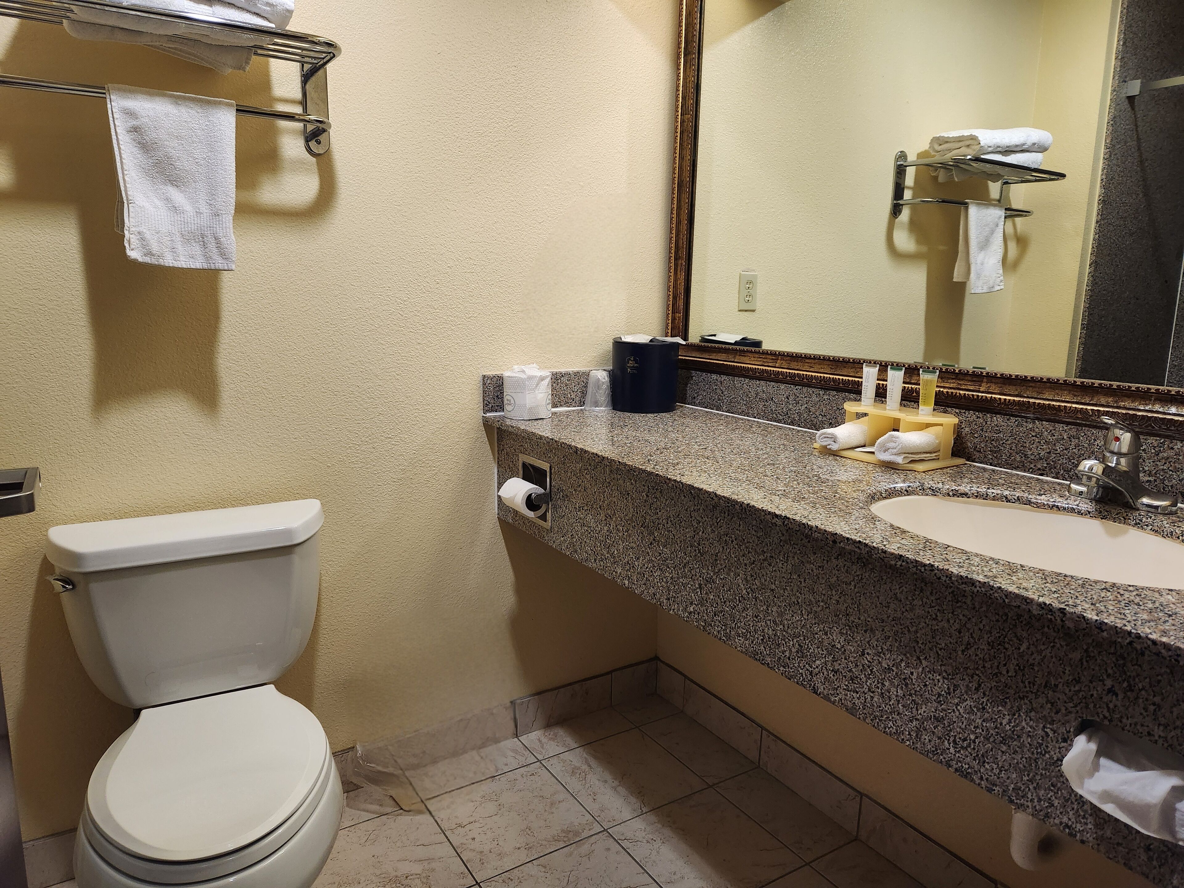 A bathroom with a toilet, sink, and towel rack.