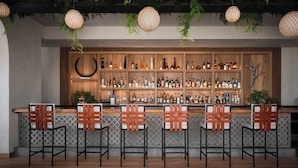 Zona de bar con estantes de madera llenos de botellas, un adorno de pared curvo, plantas colgantes y taburetes con respaldos trenzados.