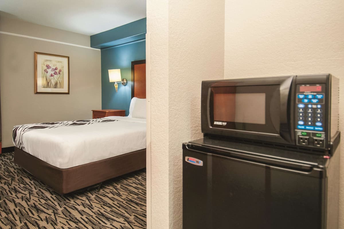 Room, 1 Katil Kelamin (Double), Accessible, Non Smoking (Mobility/Hearing, Roll-In Shower) | Peralatan tempat tidur premium, peti besi dalam bilik, meja