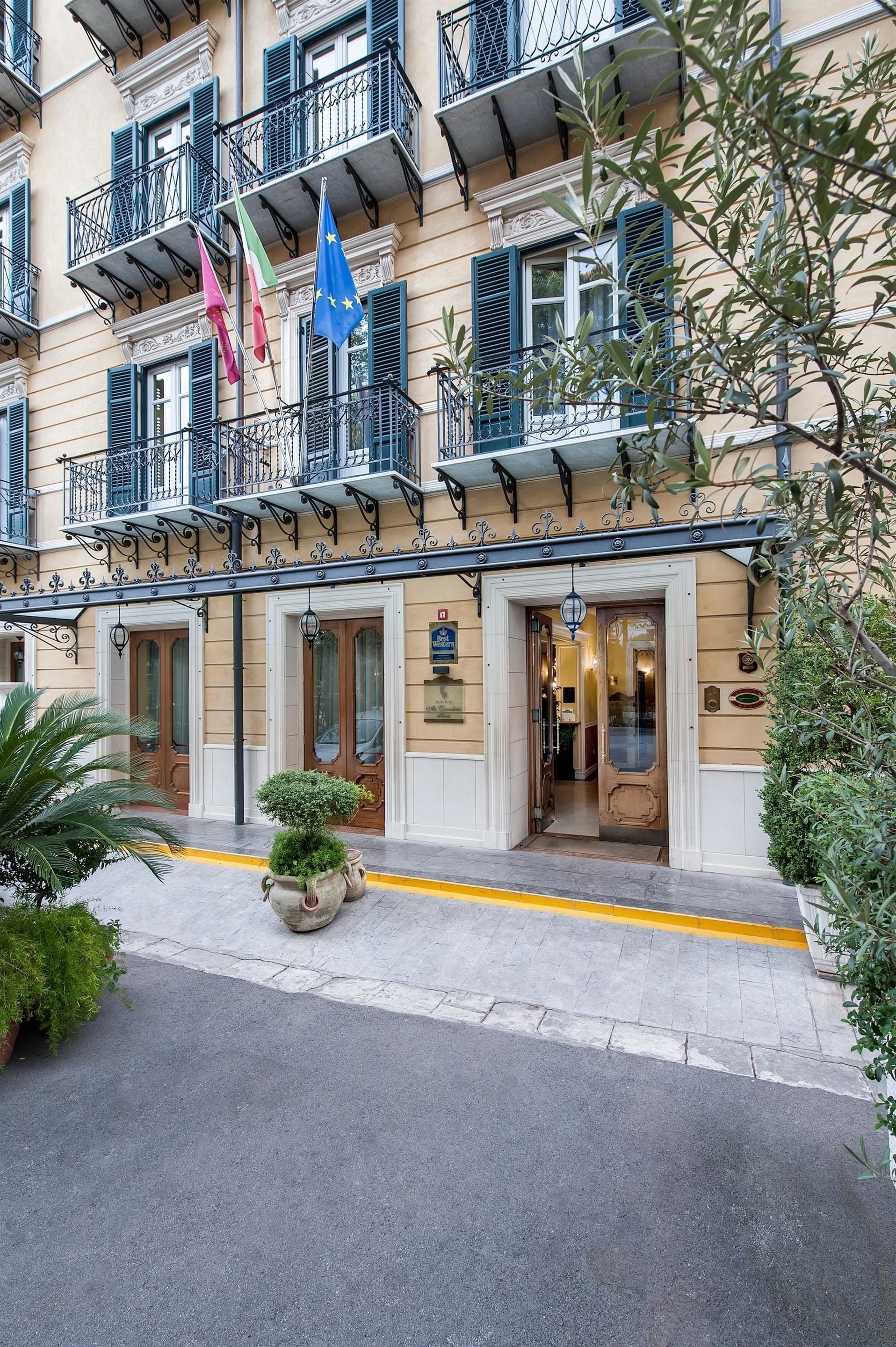 إطلالة على الشارع