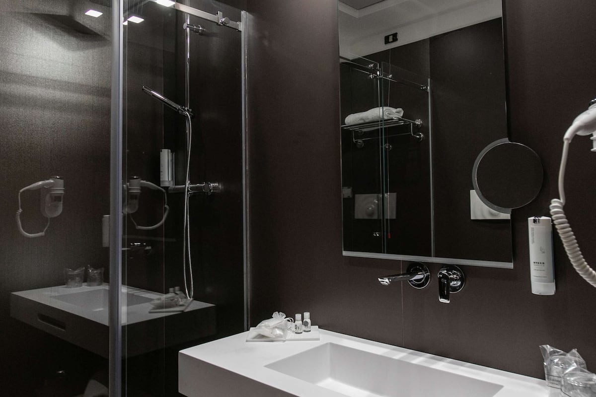 shower, designer toiletries, hair dryer, bidet