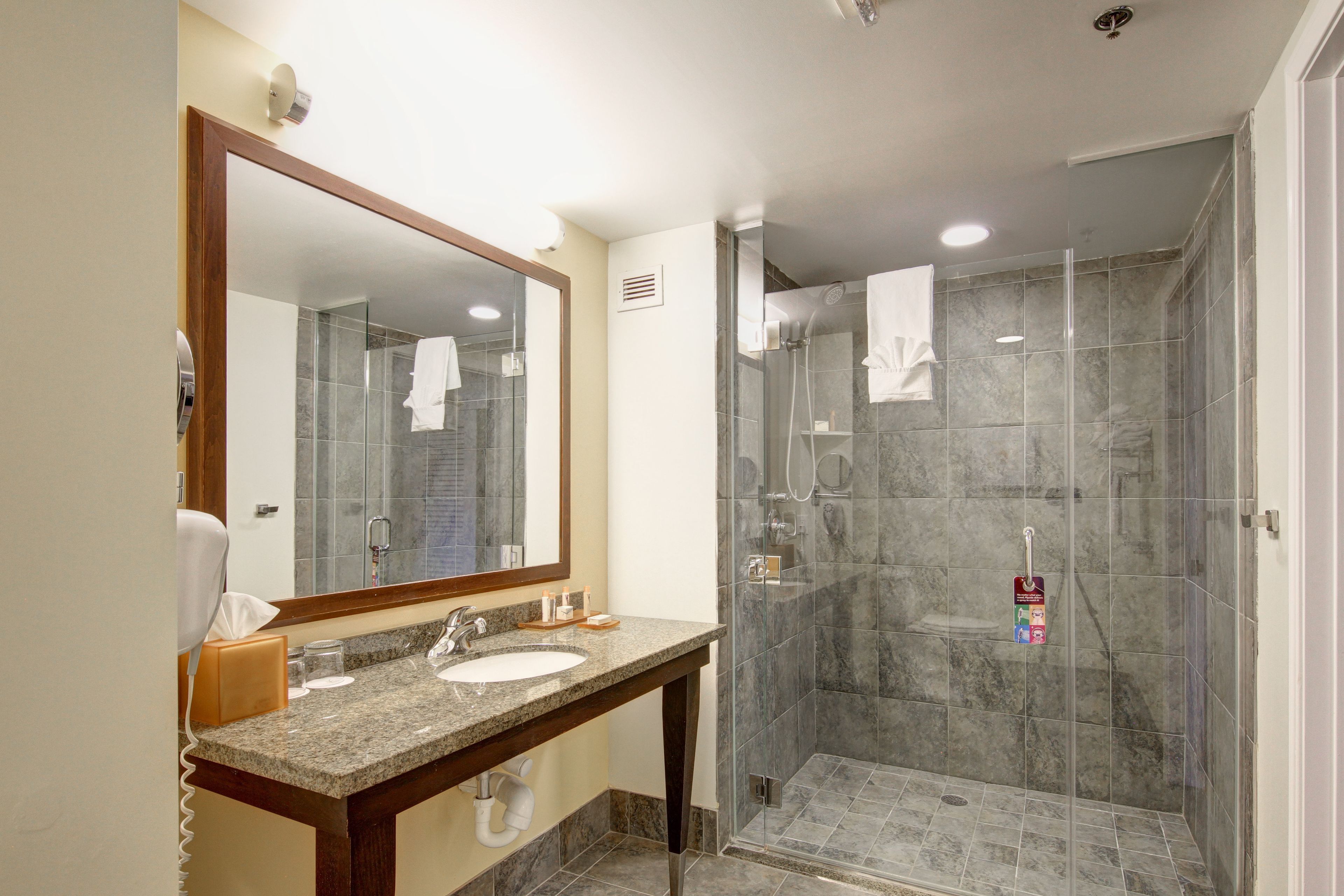combined shower/bathtub, free toiletries, hair dryer, towels