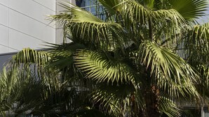 Cảnh từ trên cao