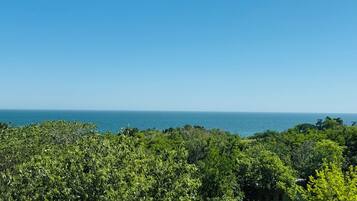 Eine Küstenlandschaft mit üppiger Vegetation und freiem Blick auf den Ozean.