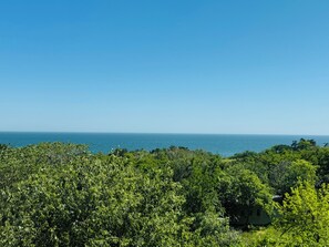 A coastal landscape with dense greenery and a clear view of the ocean. - Hotel Amfora (Varna)