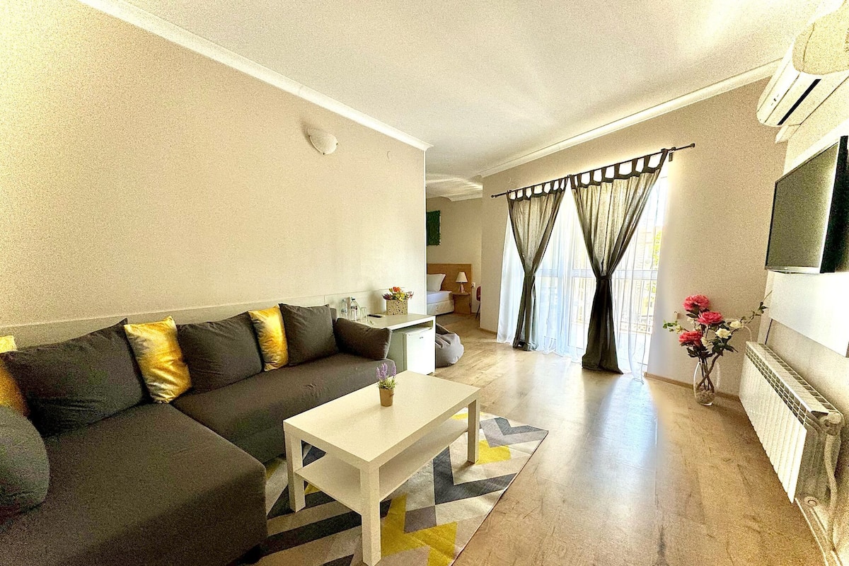 A living room with a sofa, a small table, and a TV. There is a window with curtains and a fireplace.