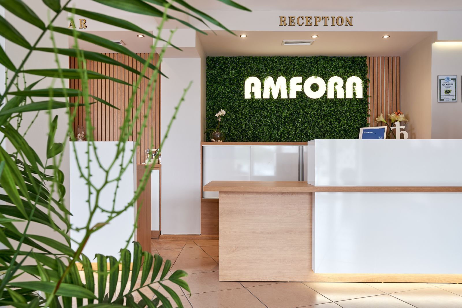 Foto - Hotel Amfora