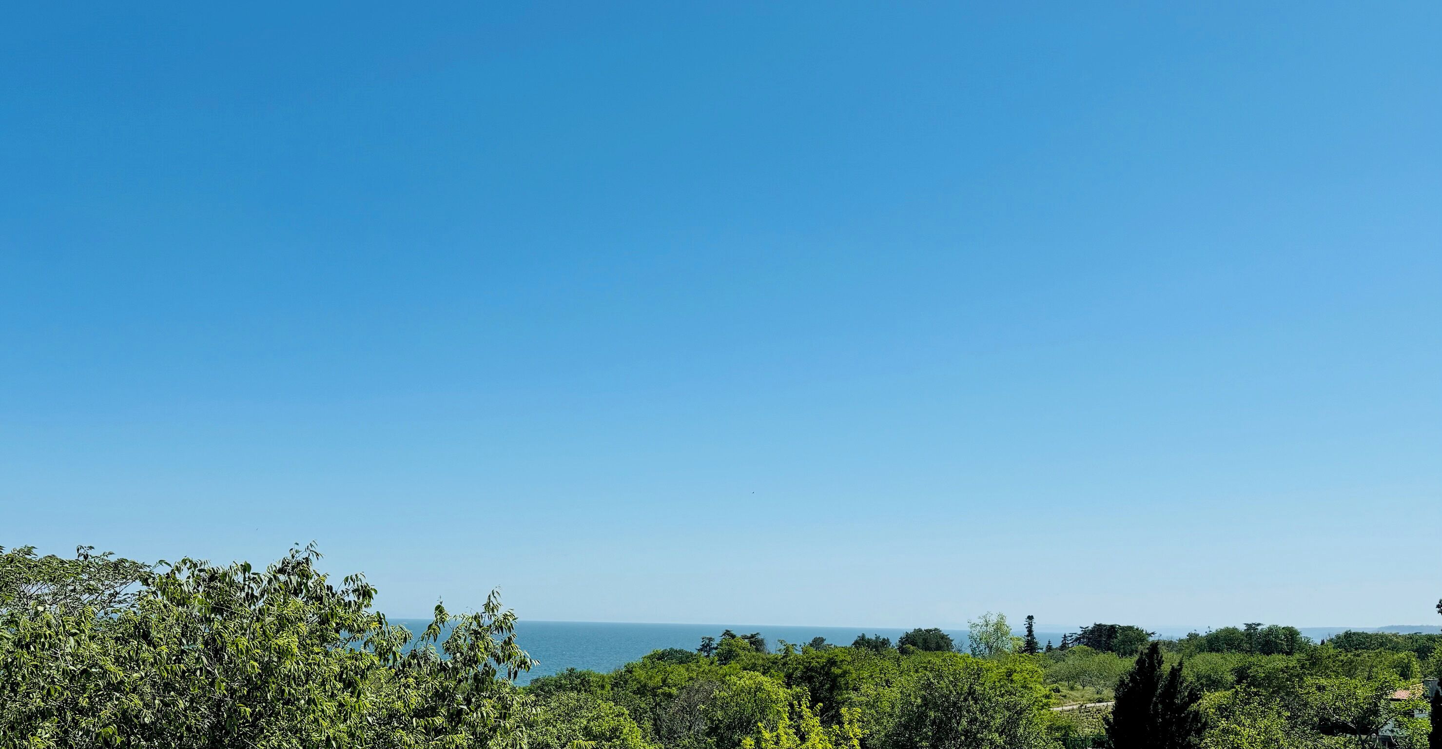 A view of a coastal landscape with dense greenery and a clear blue sky.