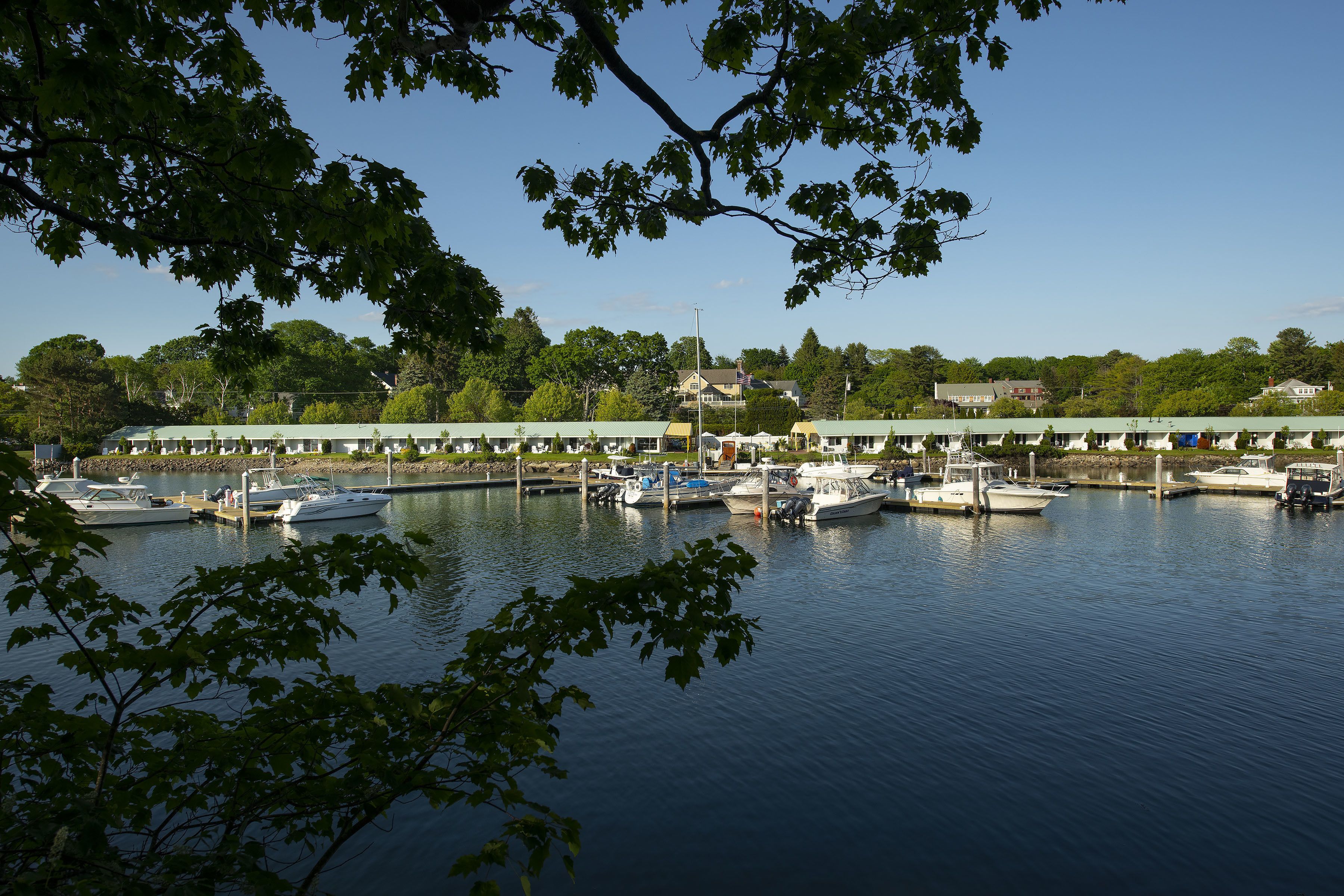A marina with several boats docked, surrounded by greenery and buildings in the background.