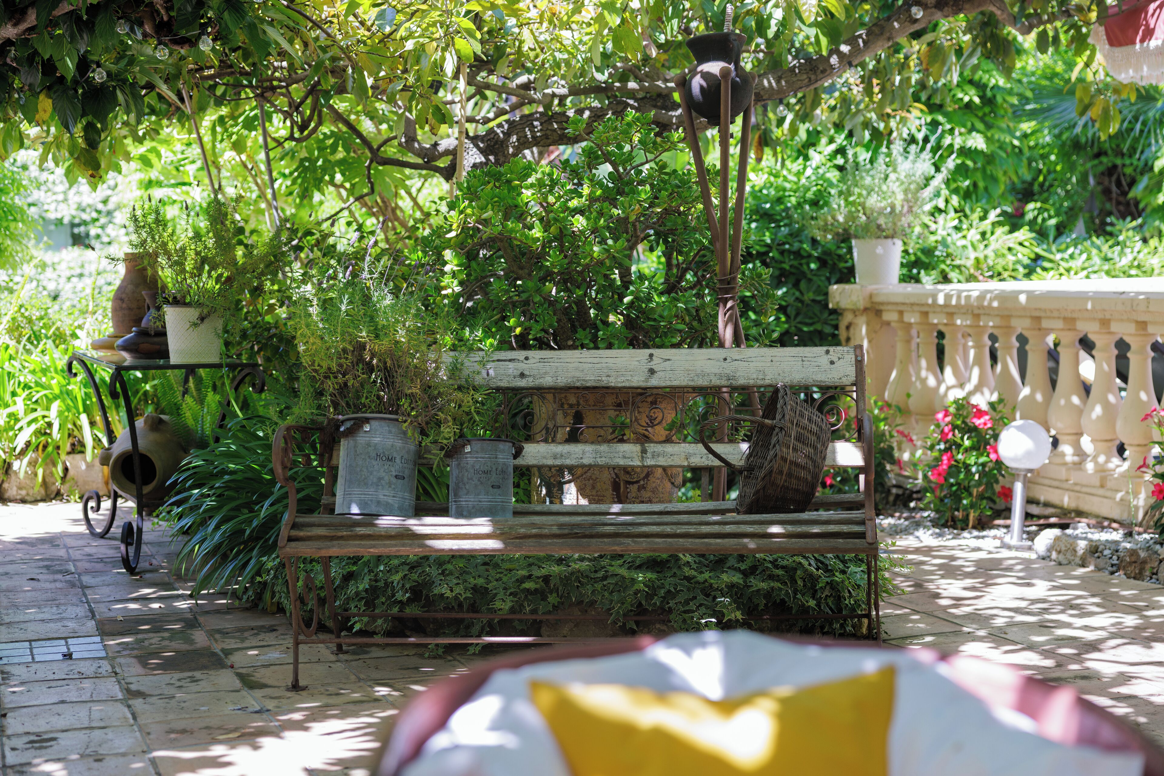 Un jardín con un banco de madera, plantas en macetas y un camino de piedra.