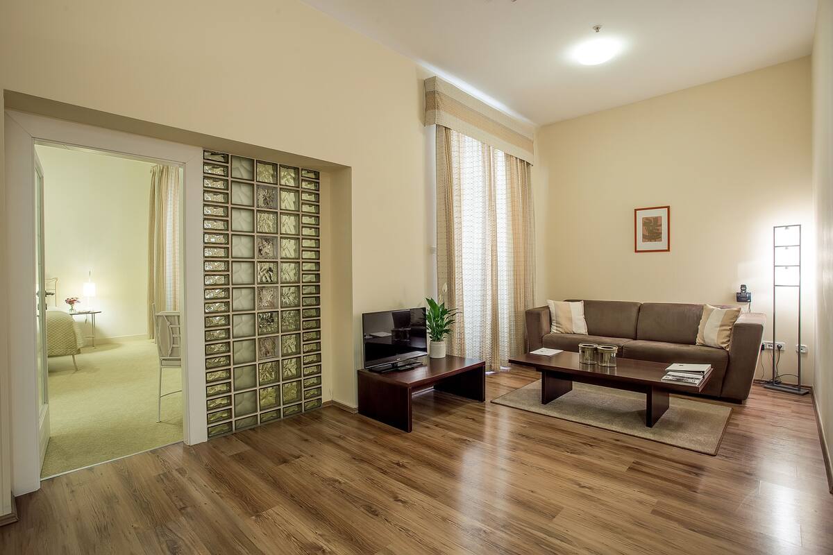 Un salon comprenant un canapé, une table basse, un téléviseur et un élément de séparation décoratif.