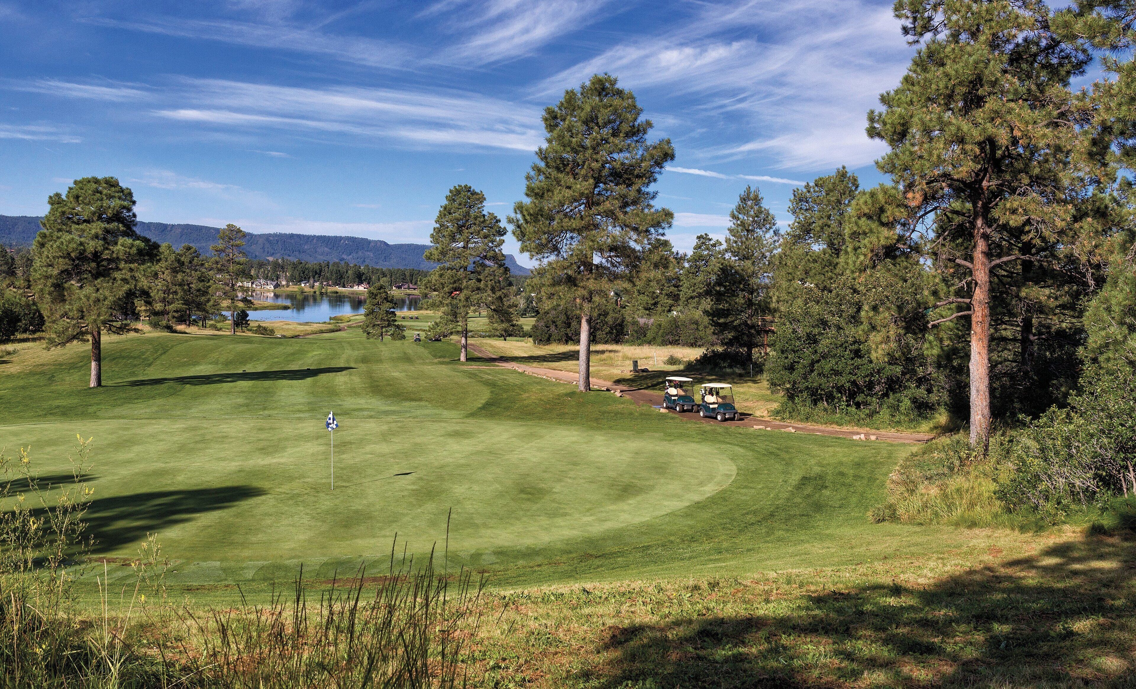 A golf course with a flagstick, a pond, and a golf cart.