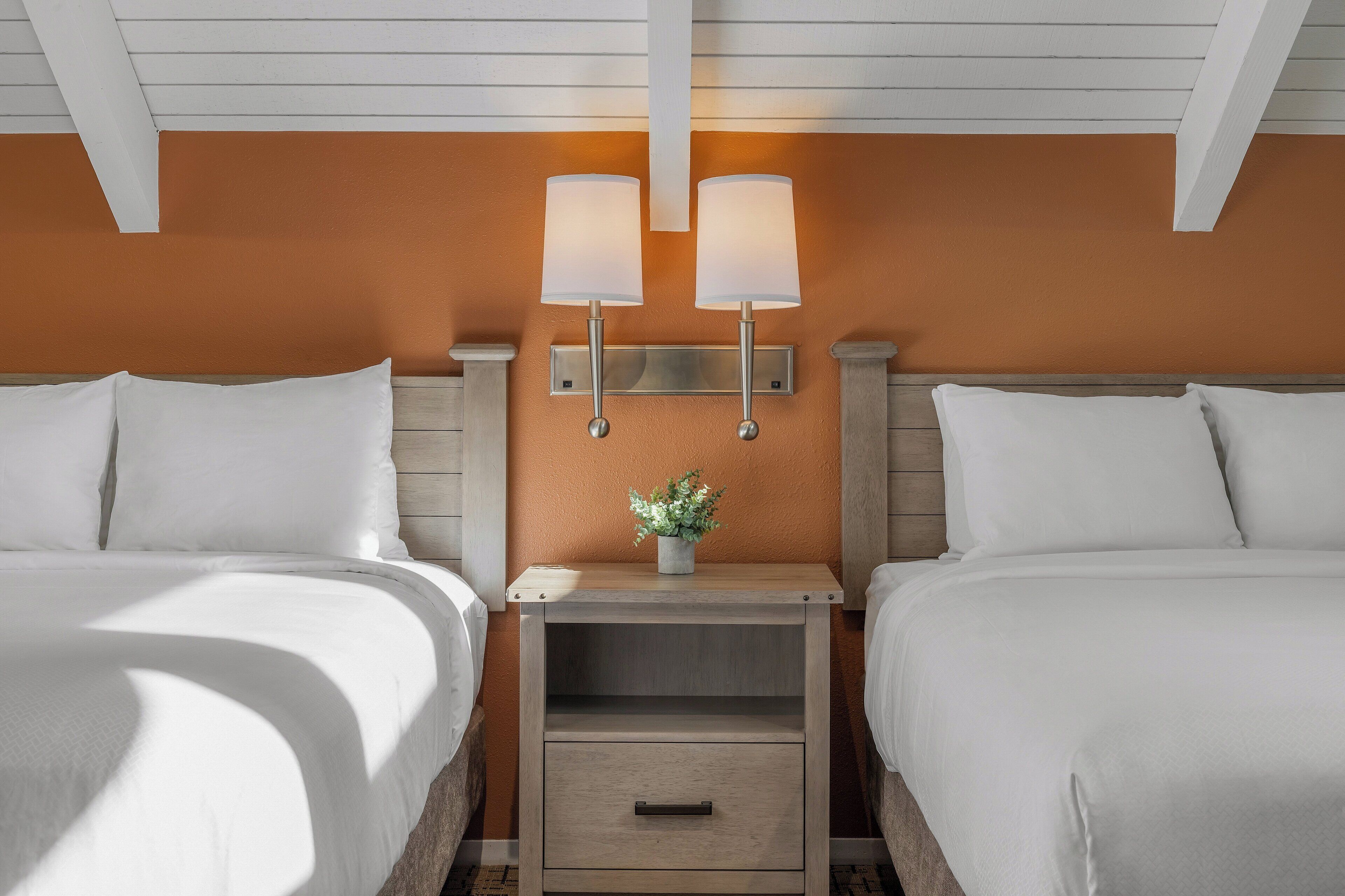 A hotel room with two beds, a nightstand with a lamp, and a small plant on the nightstand.