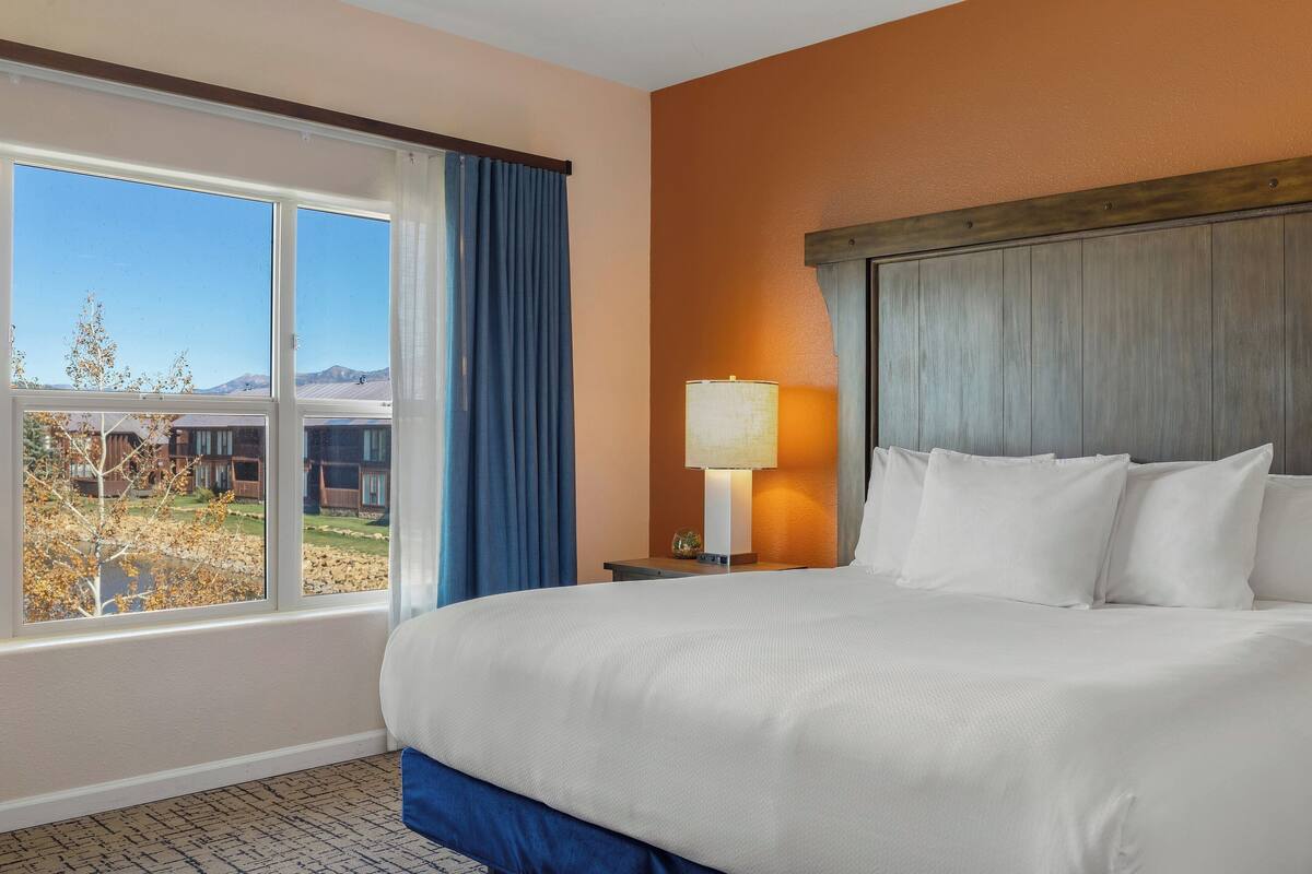 A hotel room with a large bed, a nightstand with a lamp, a window with a view of buildings and trees, and an orange wall.