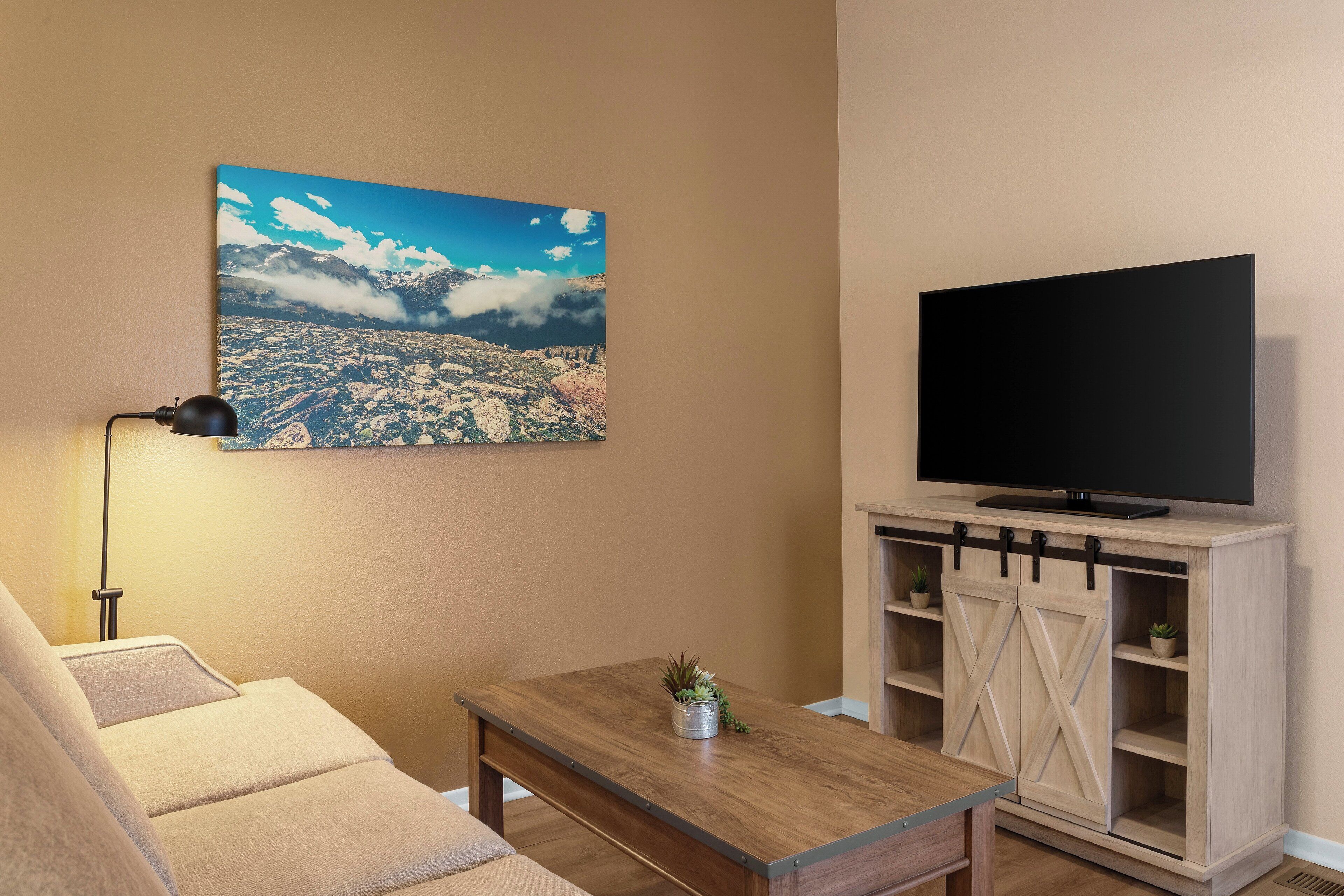 A living room with a sofa, a coffee table with a plant, a mounted TV, and a wall-mounted picture of a mountainous landscape.