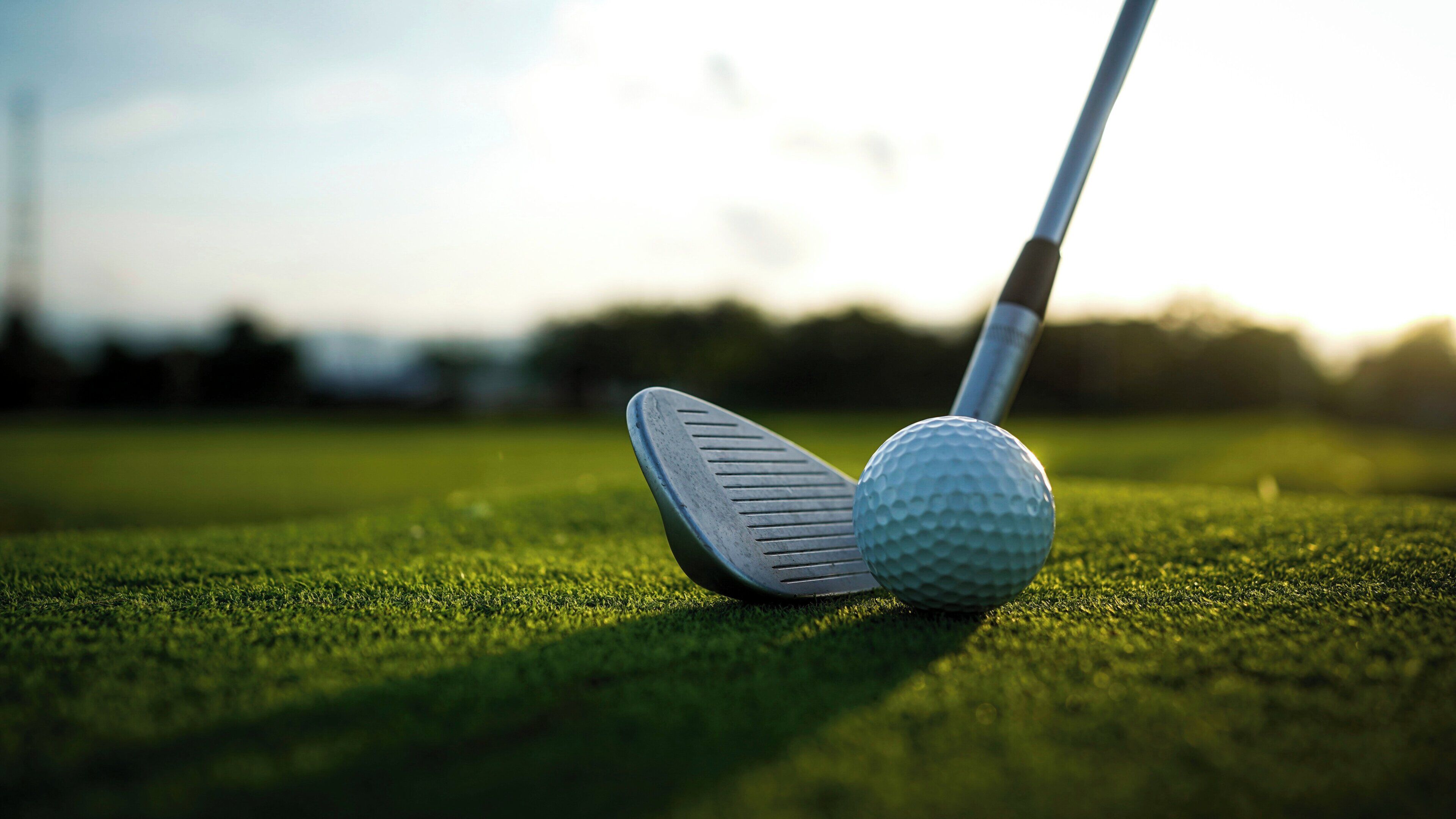 Una pelota de golf sobre el césped verde, con un palo de golf colocado encima.