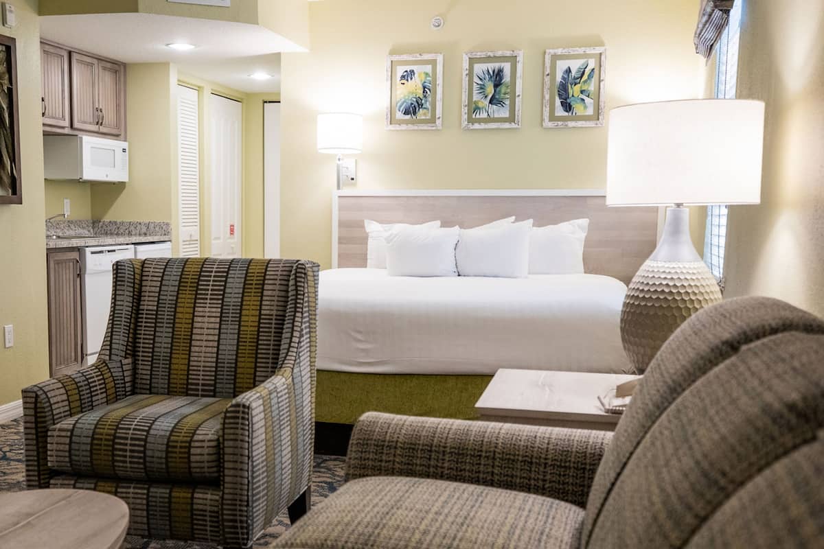 Estudio estándar | 1 habitación, caja de seguridad en la habitación y cortinas blackout