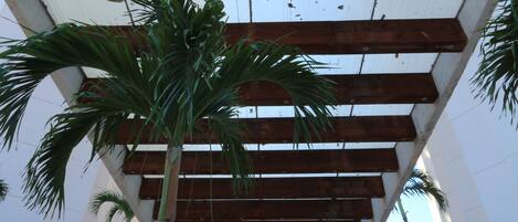 Un edificio moderno con una entrada destacada, un alero de madera y un letrero que dice "MYSTORES GEISUS".