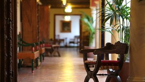 A corridor with wooden benches and a potted plant.