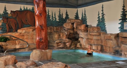 Stoney Creek Hotel St. Joseph