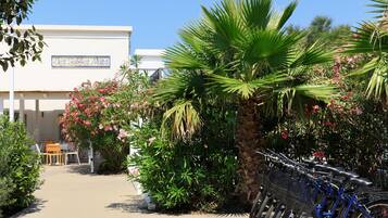 Jardín