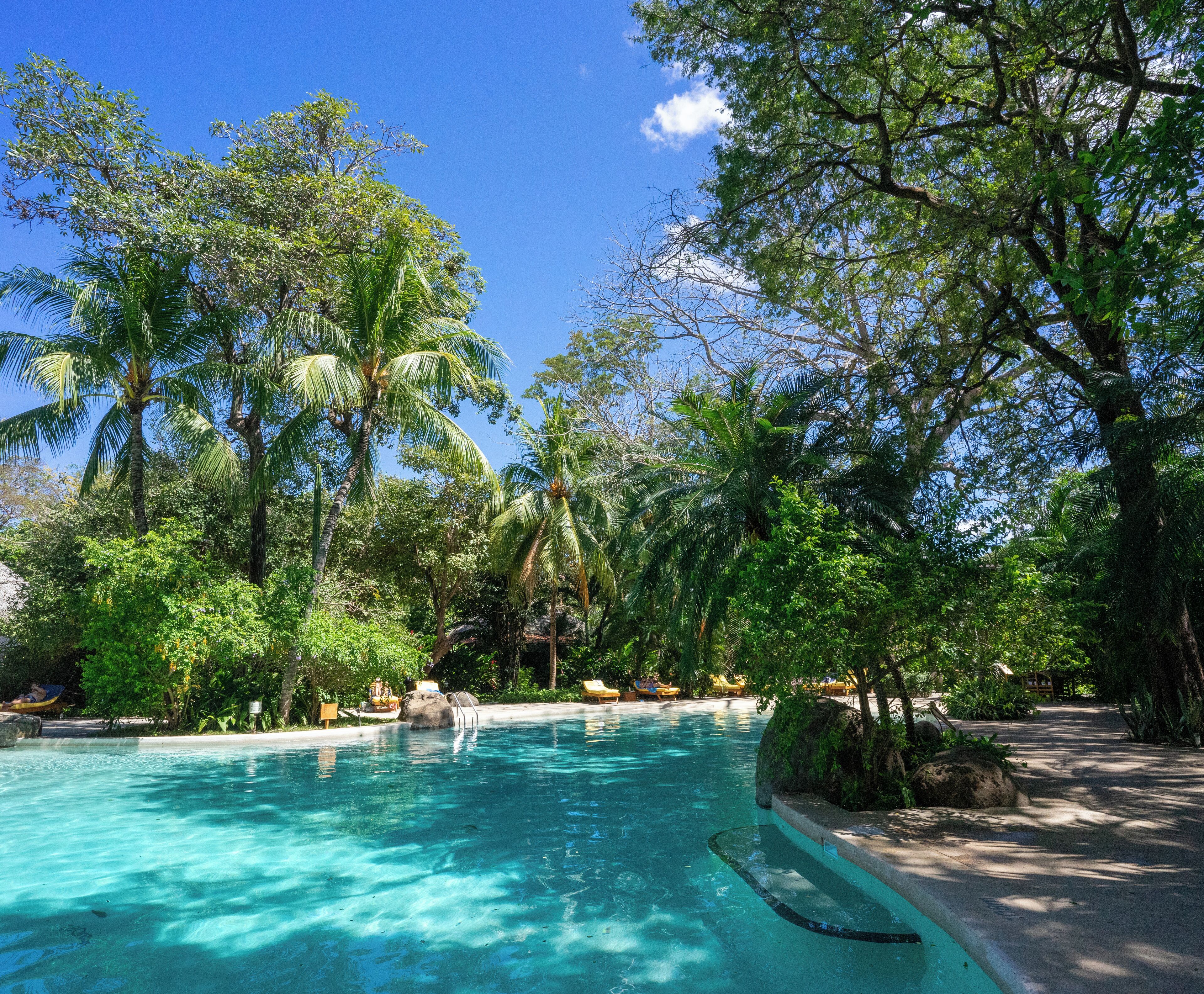 Una piscina al aire libre, sillones reclinables de piscina