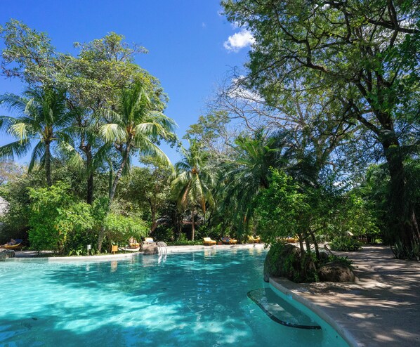 Outdoor pool, sun loungers