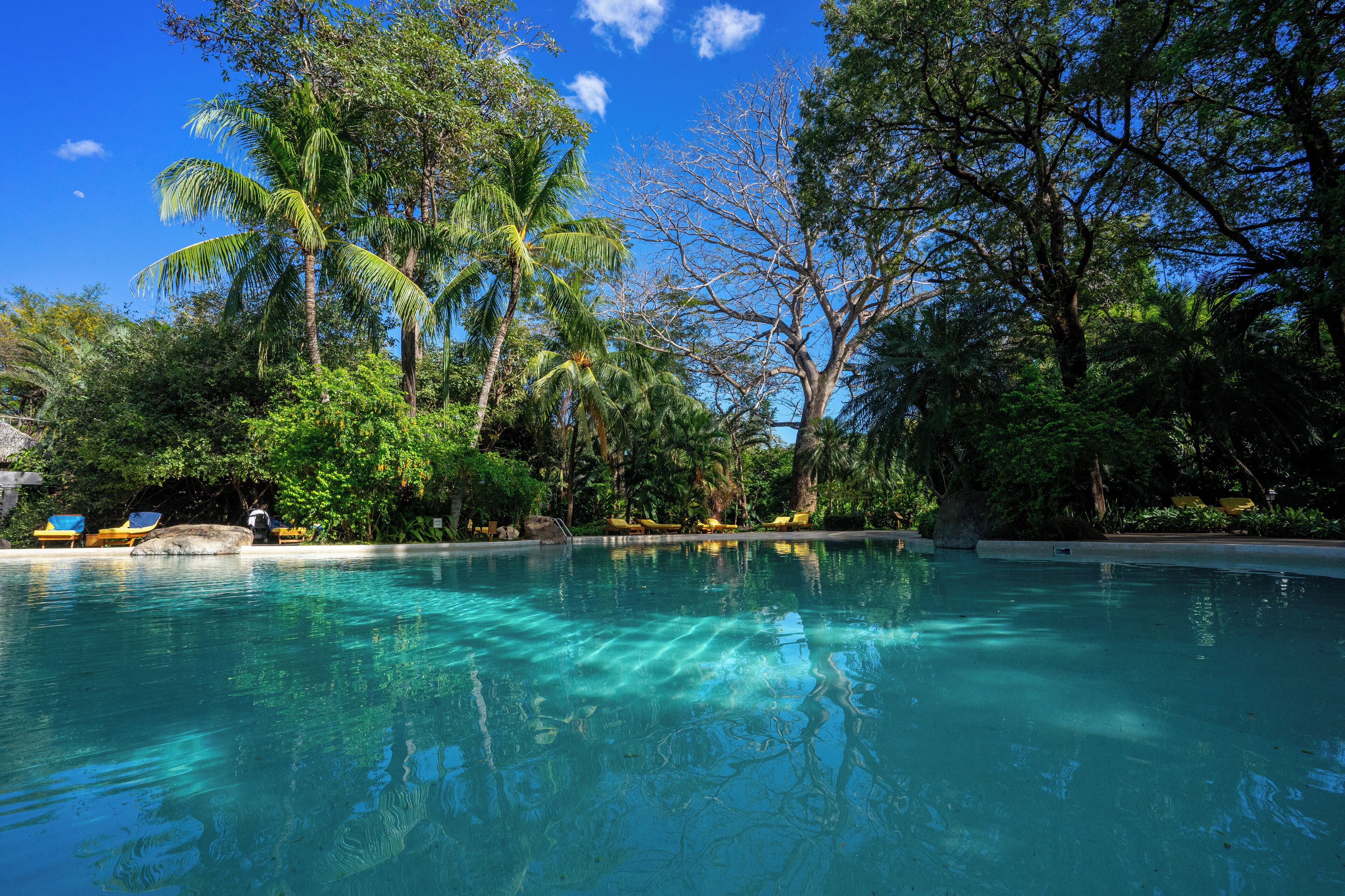 Outdoor pool, pool loungers