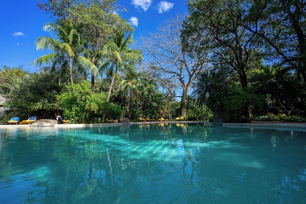 Outdoor pool, sun loungers