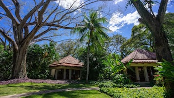 Bungalow, mit Klimaanlage | 1 Schlafzimmer, Daunenbettdecken, Pillowtop-Betten, Zimmersafe