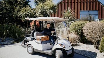 Voiturette de golf